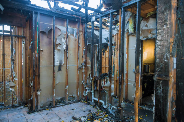Professional Emergency Fire Cleanup technician working in Senoia, GA